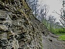 Bidlicová stna mezi Neslovicemi a Zbýovem na Brnnsku ukrývá zkamenliny...