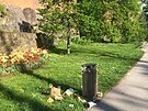 Pohled na rozkvetl� parky v uplynul�ch dnech leckde hyzdily hrom�dky odpadk�...
