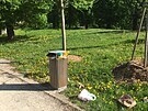 Pohled na rozkvetl� parky v uplynul�ch dnech leckde hyzdily hrom�dky odpadk�...