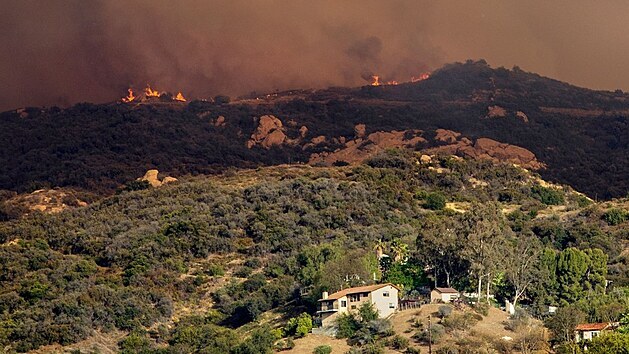 Lesn por v Los Angeles. (16. kvtna 2021)