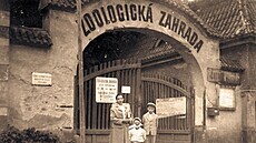 Brána do zoo na snímku okolo roku 1958. Zamstnanci i návtvníci vcházeli...