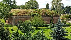 Pajkrova flona se nachází u fakultní zahrady léivých rostlin.