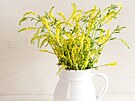 lut kvetoucí komonice umí zmírnit pocit tkých nohou, povzbuzuje tok lymfy,...