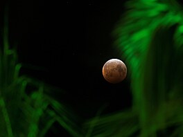 Krvavý Měsíc zachycený v Honolulu na Havaji v USA. Snímek ze středy 26. května...