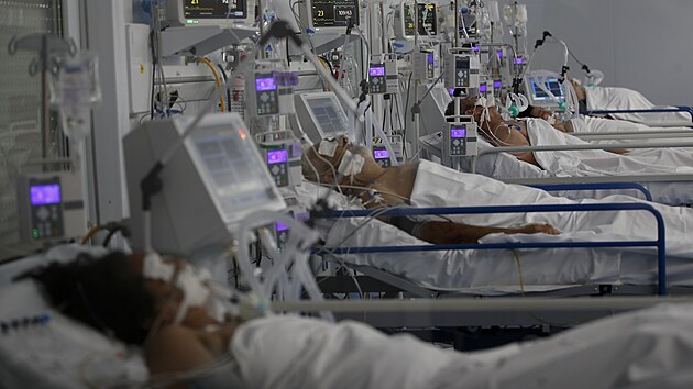 Pacienti s koronavirem v nemocnici v argentinské Lomas de Zamora. (1. května 2021)