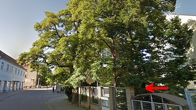 Neznámý pachatel poničil stromy na rohu ulic Klavíkova a Jaroslava Haška v Českých Budějovicích. V modré budově vlevo sídlí městská policie.