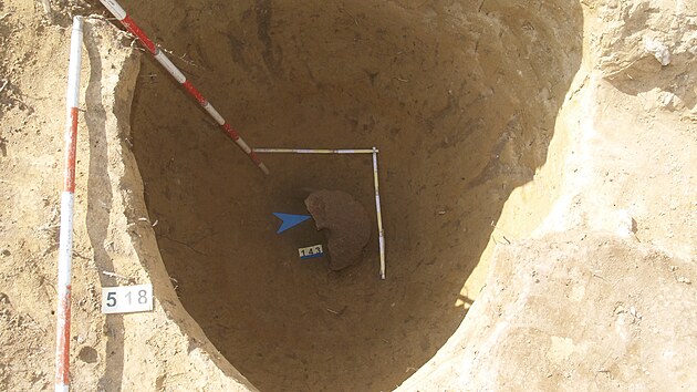 Archeologům se během vykopávek podařilo vyzvednout ze země i lebku zubra. Mohla by být až 150 tisíc let stará.