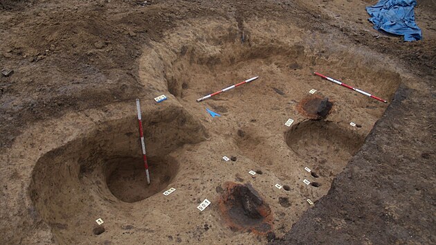 Archeologm se bhem vykopvek podailo vyzvednout ze zem i lebku zubra. Mohla by bt a 150 tisc let star.
