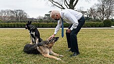 Americký prezident Joe Biden se prochází v zahrad Bílého domu se svými psy....