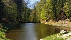 Návrh na vytvoení velkého koupalit nedaleko Turistické chaty v centru...