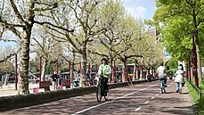 Amsterdam má výborné zázemí pro cyklisty. (21. kvtna 2019)