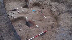 Archeologm se bhem vykopávek podailo vyzvednout ze zem i lebku zubra. Mohla...