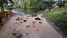 Záplava v Arboretu Nový Dvr (13.5.2021).