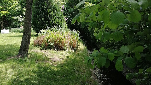 Z části zahradu podél plotu lemuje kamenné koryto potoka, jež odvádí dešťovou kanalizaci z horních Lipenců. 