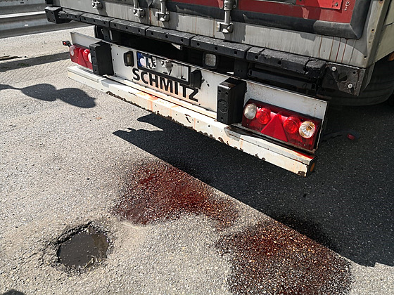 Z polského kamionu vytékala zvířecí krev. Policisté jej u hranic otočili a...