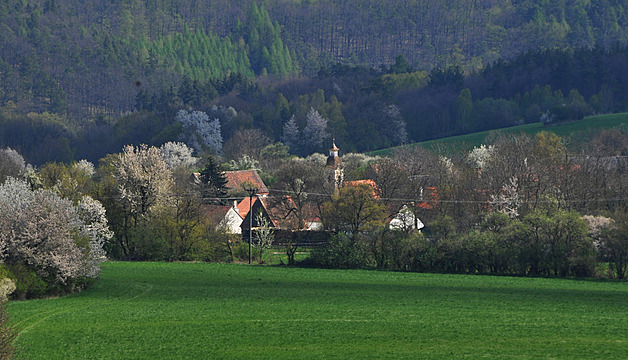 Malebný íov je vstupní branou do Národního parku Podyjí. Není to tak dávno,...
