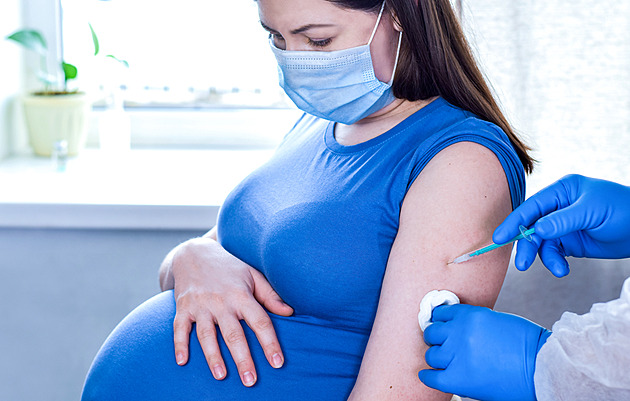 Odborníci očkování těhotných spíše doporučují, má to ale svá pravidla