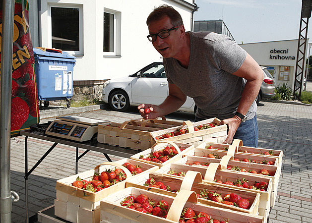 V Borov nad Vltavou zaali prodávat jahody.