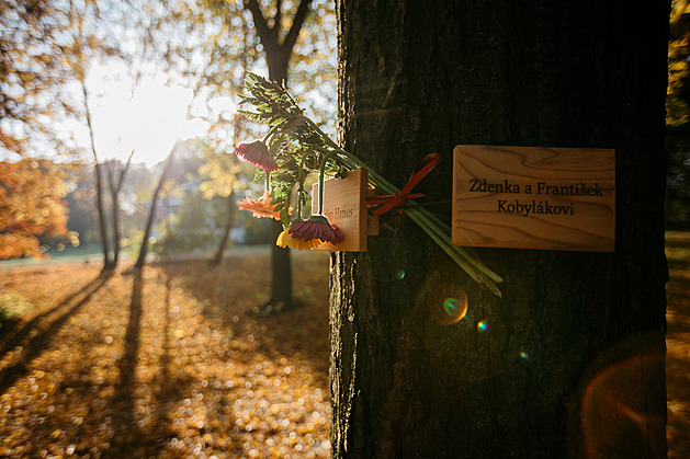 Most plans natural burial ground for tree interments