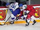 eský hokejista Adam Musil bojuje o puk s Adrianem Holeinským.
