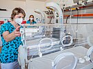 Poslední pípravy na novorozeneckém oddlení nemocnice v Náchod (1. 6. 2021)