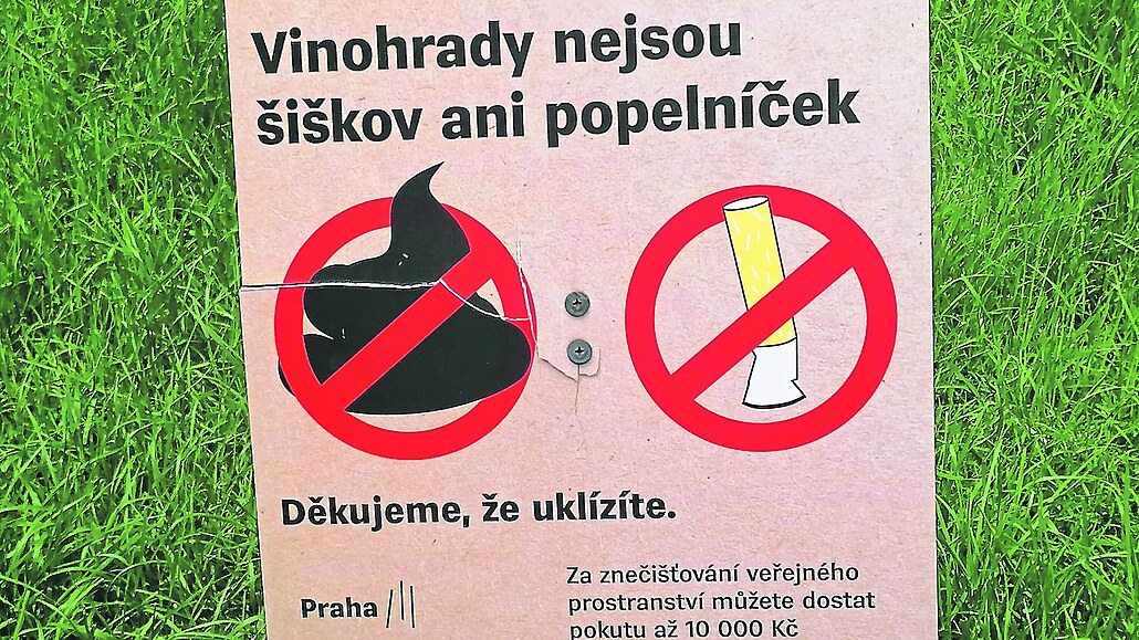 Cedule