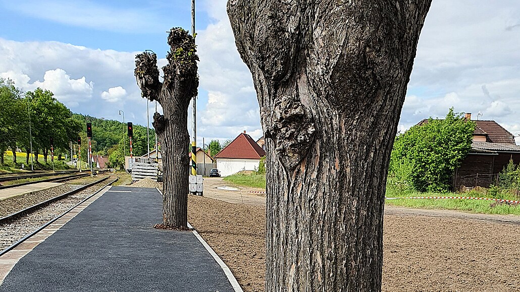 Správa �eleznic p�i oprav� nádra�í v Lochovicích na Berounsku zalila stromy do...