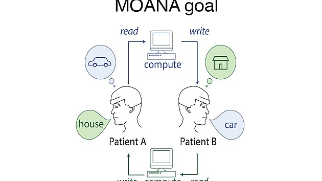 Projekt MOANA vyvíjí způsob, jak přenášet lidské myšlenky přímo do mozku jiné osoby.