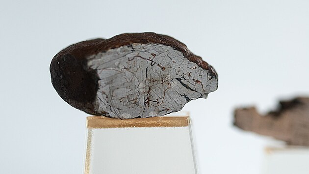 V Muzeu jihovýchodní Moravy ve Zlíně ukazují mimořádnou výstavu věnovanou meteoritům a tektitům. Na snímku železný meteorit z oblasti Xiquipilco v Mexiku.