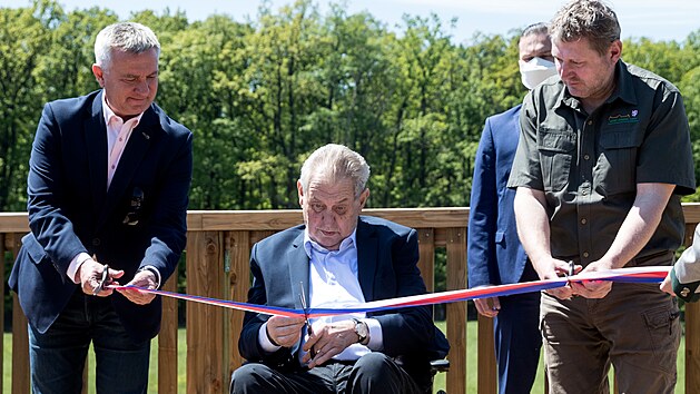 Prezident Miloš Zeman slavnostně otevřel lávku v Lánské oboře. Místo je přístupné veřejnosti a postupně tam vznikne volnočasový areál včetně Muzea Lesní správy Lány. (3. června 2021)
