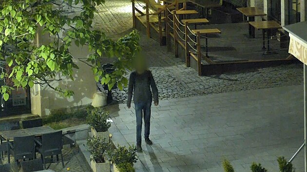 Mlad�k strhal b�e�an ze zdi a odtan�il. Zavadil jsem, tvrdil hl�dce