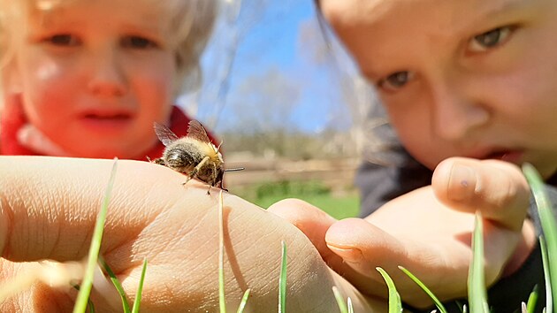 Děti mají na zahradě co zkoumat, hmyzu je tu požehnaně.