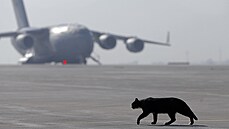 Kanadský dopravní letou C-17 Globemaster na mezinárodním letiti v Kábulu....