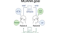 Projekt MOANA vyvíjí zpsob, jak penáet lidské mylenky pímo do mozku jiné...