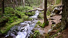 Údolí Bílé Opavy