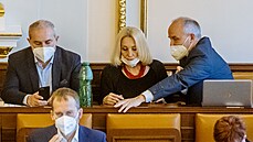 Slo�ením slibu nové poslankyn� Olgy Sommerové za�ala úterní jednání Sn�movny....