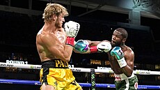 Boxerský �ampion Floyd Mayweather v souboji s youtuberem Loganem Paulem.