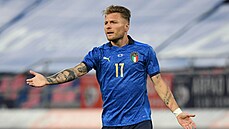 Italský útoník Ciro Immobile se diví bhem pípravného utkání proti esku.