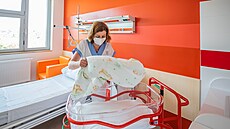Nová porodnice v náchodské nemocnici (1. ervna 2021)