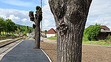 Správa �eleznic p�i oprav� nádra�í v Lochovicích na Berounsku zalila stromy do...