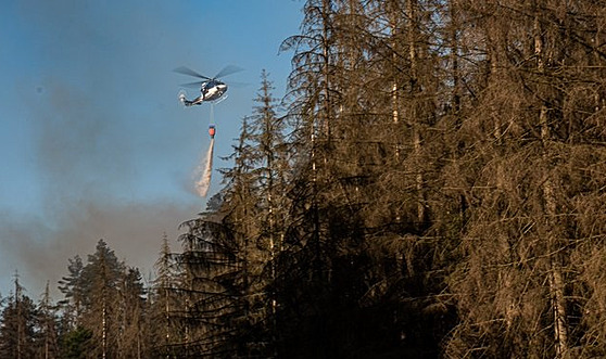 Aktuálně zasahují hasiči u požáru lesa u Jetřichovic v Ústeckém kraji. Na místo...