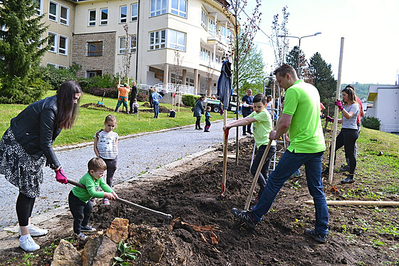 Skupinky dobrovolníků se zapojily do komunitního sázení stromů v Luhačovicích...