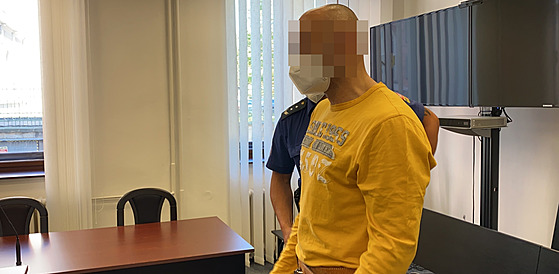 Čtyřicetiletý muž čelí u Krajského soudu v Plzni obžalobě z několika trestných...