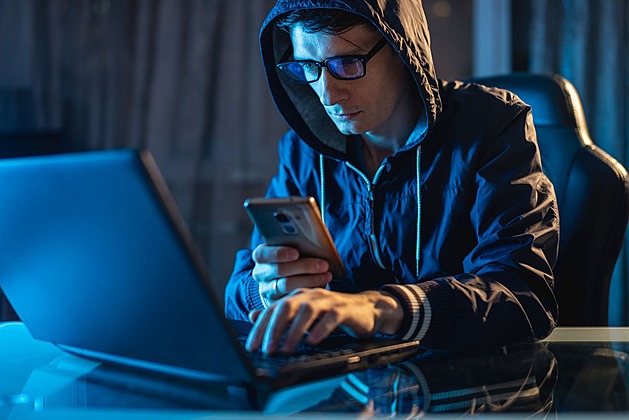 Falešný web krade e-identitu, která má sloužit k bezpečné komunikaci s úřady či bankou. Na co si dát pozor?