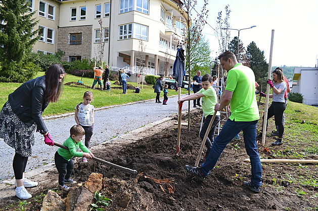 Skupinky dobrovolník se zapojily do komunitního sázení strom v Luhaovicích...