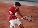 Novak Djokovi bouliv slaví vítzství na Roland Garros.