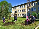 Skupinky dobrovolnk se zapojily do komunitnho szen strom v Luhaovicch...
