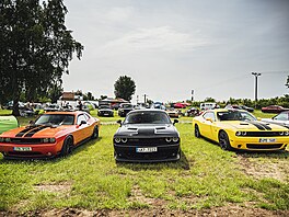 Novodobé inkarnace tvarů klasických aut jsou i na českých silnicích stále více...