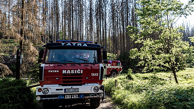 Čtrnáct jednotek hasičů zasahovalo v pátek večer u požáru lesa na Děčínsku. (18. června 2021)