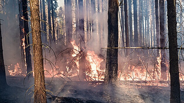 trnct jednotek hasi zasahovalo v ptek veer u poru lesa na Dnsku. (18. ervna 2021)